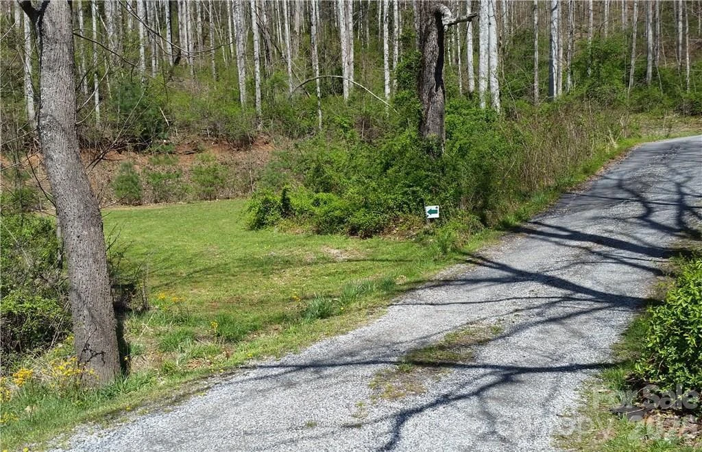 31 Mistletoe Ridge - Photo 3