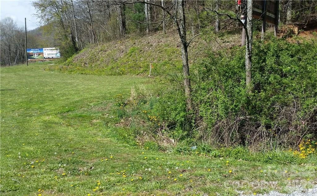 31 Mistletoe Ridge - Photo 4