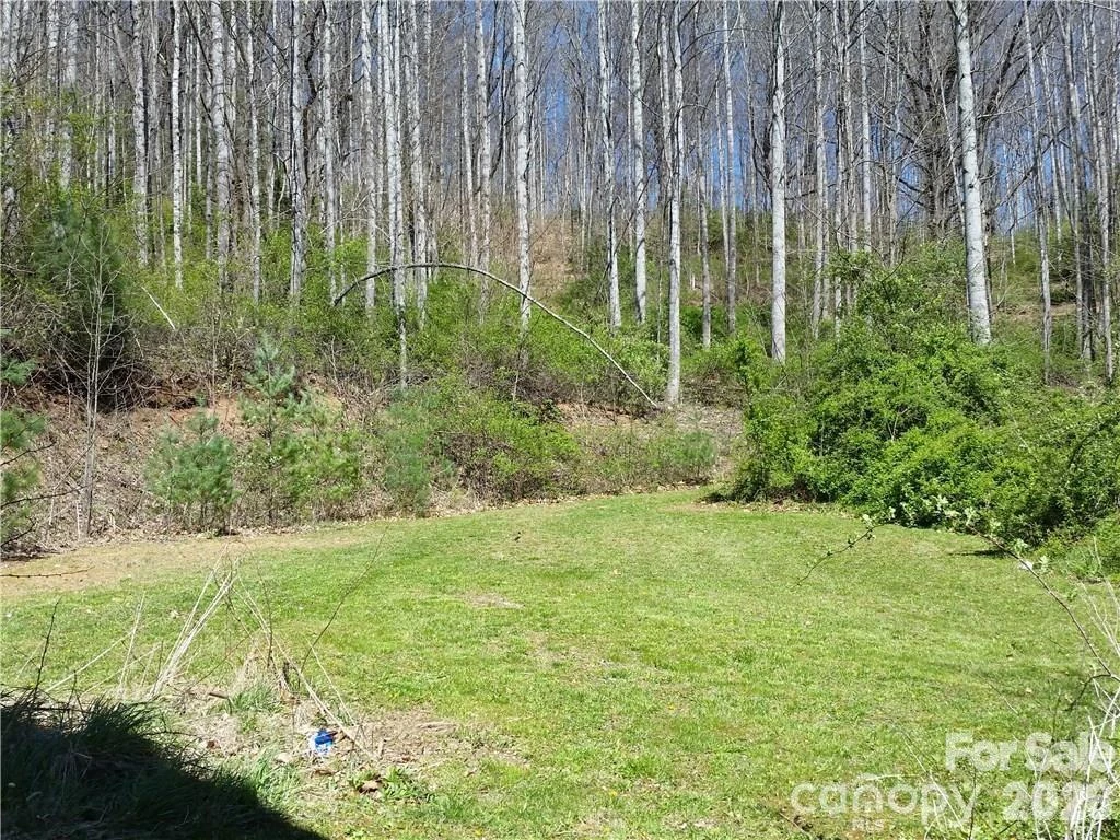 31 Mistletoe Ridge - Photo 5