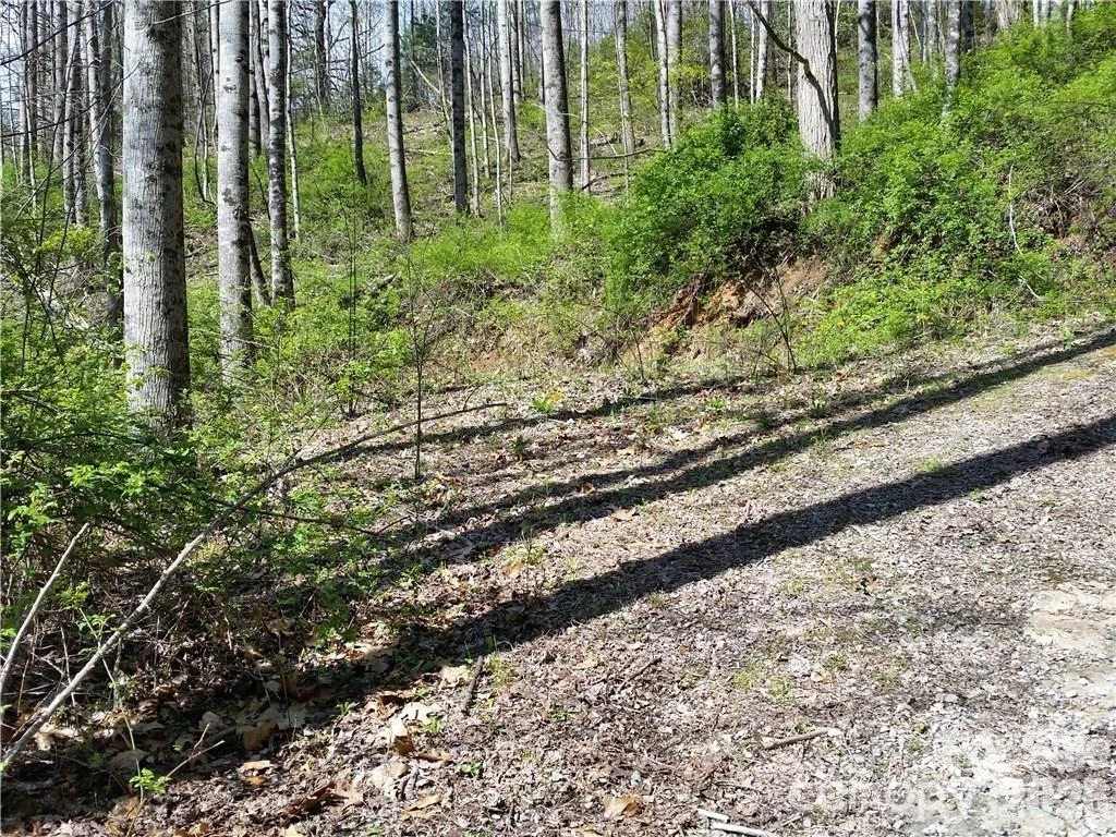 31 Mistletoe Ridge - Photo 8