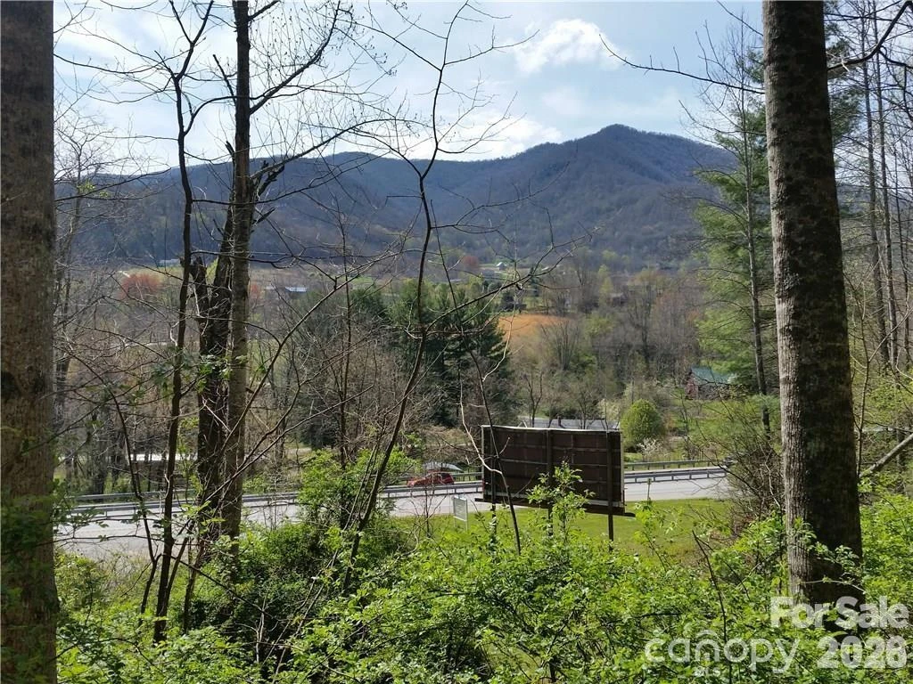 31 Mistletoe Ridge - Photo 9
