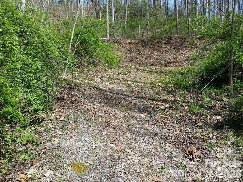 31 Mistletoe Ridge - Photo 10