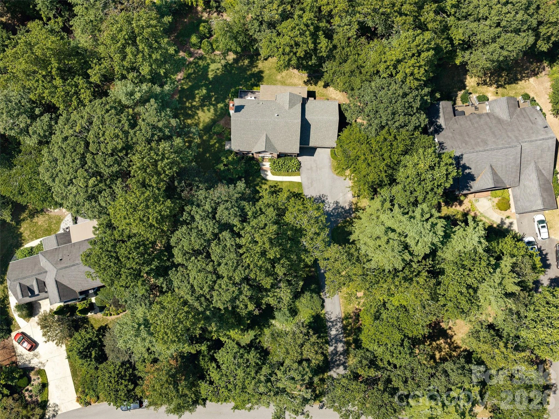 306 Red Fox Circle - Photo 43