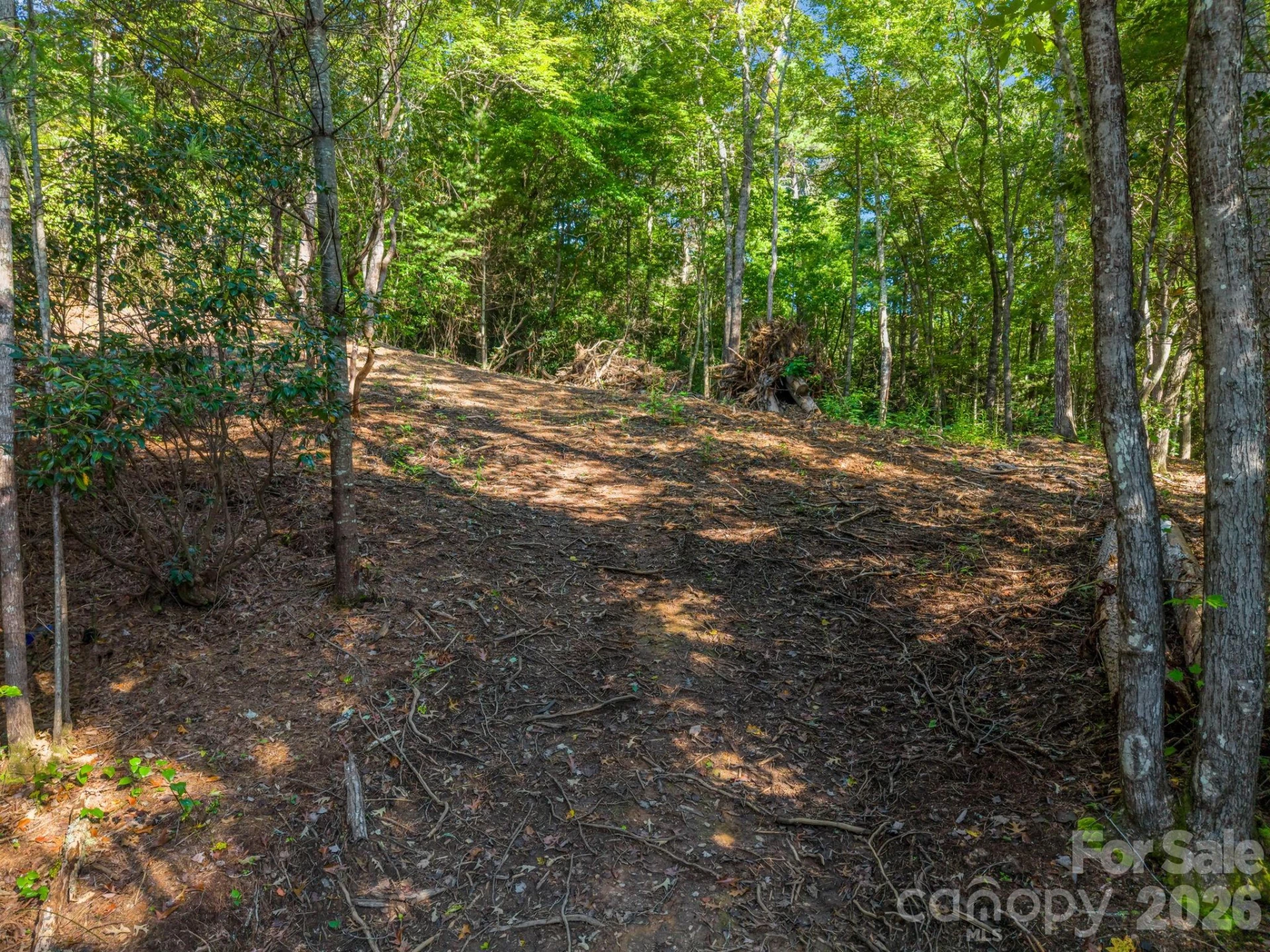 130 Summit Rise Road - Photo 2