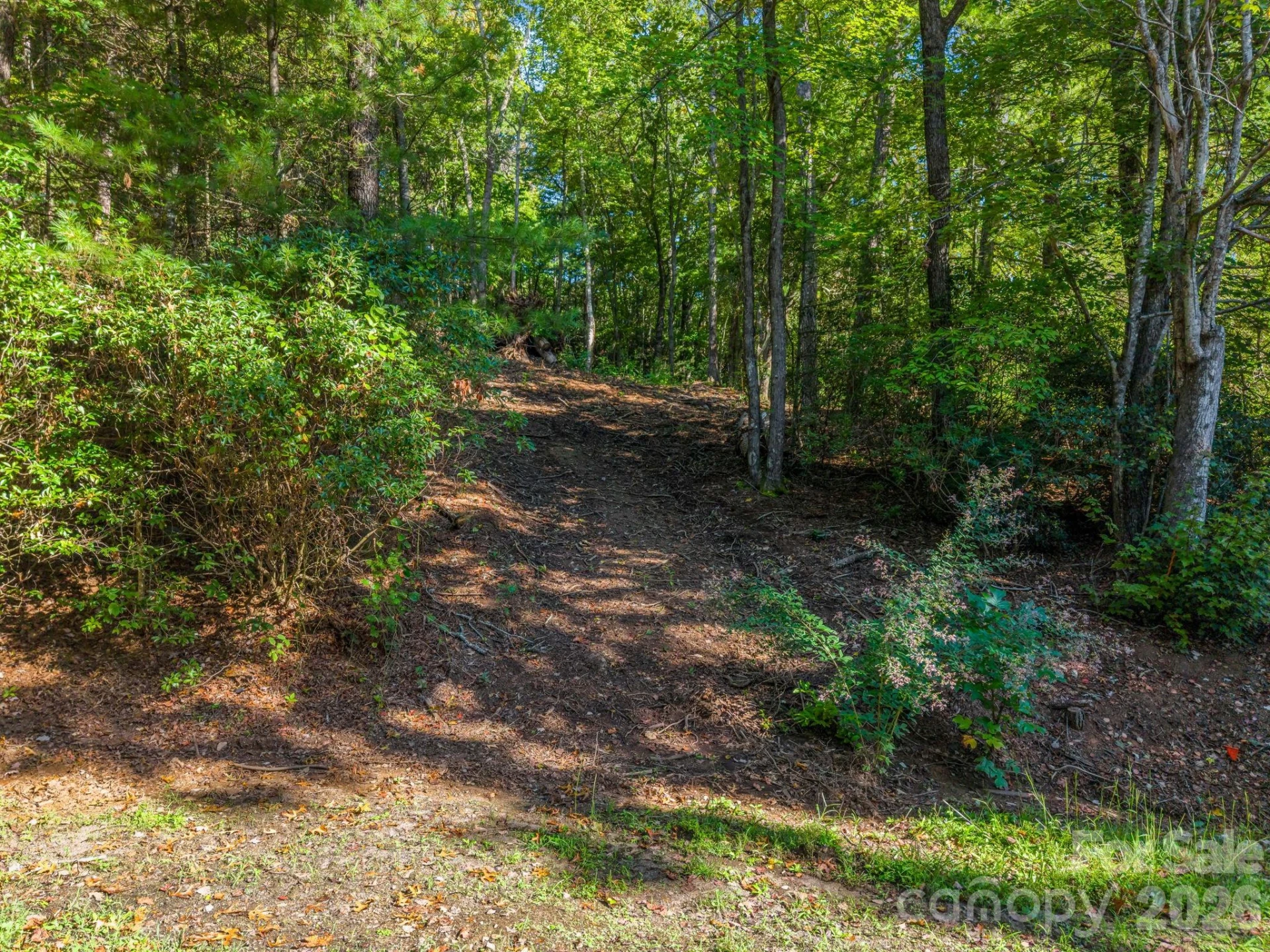 130 Summit Rise Road - Photo 3
