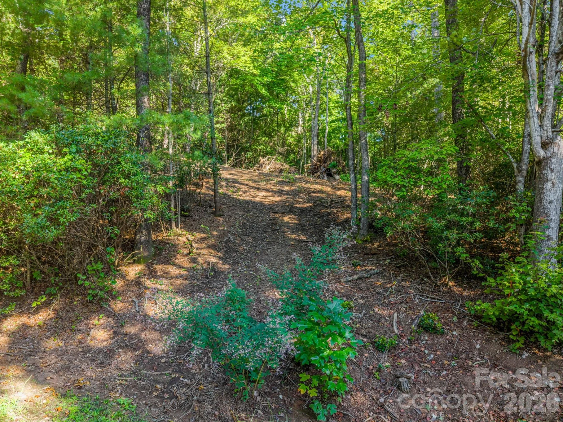 130 Summit Rise Road - Photo 5