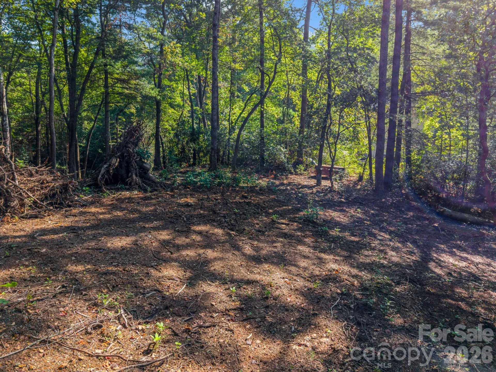 130 Summit Rise Road - Photo 7