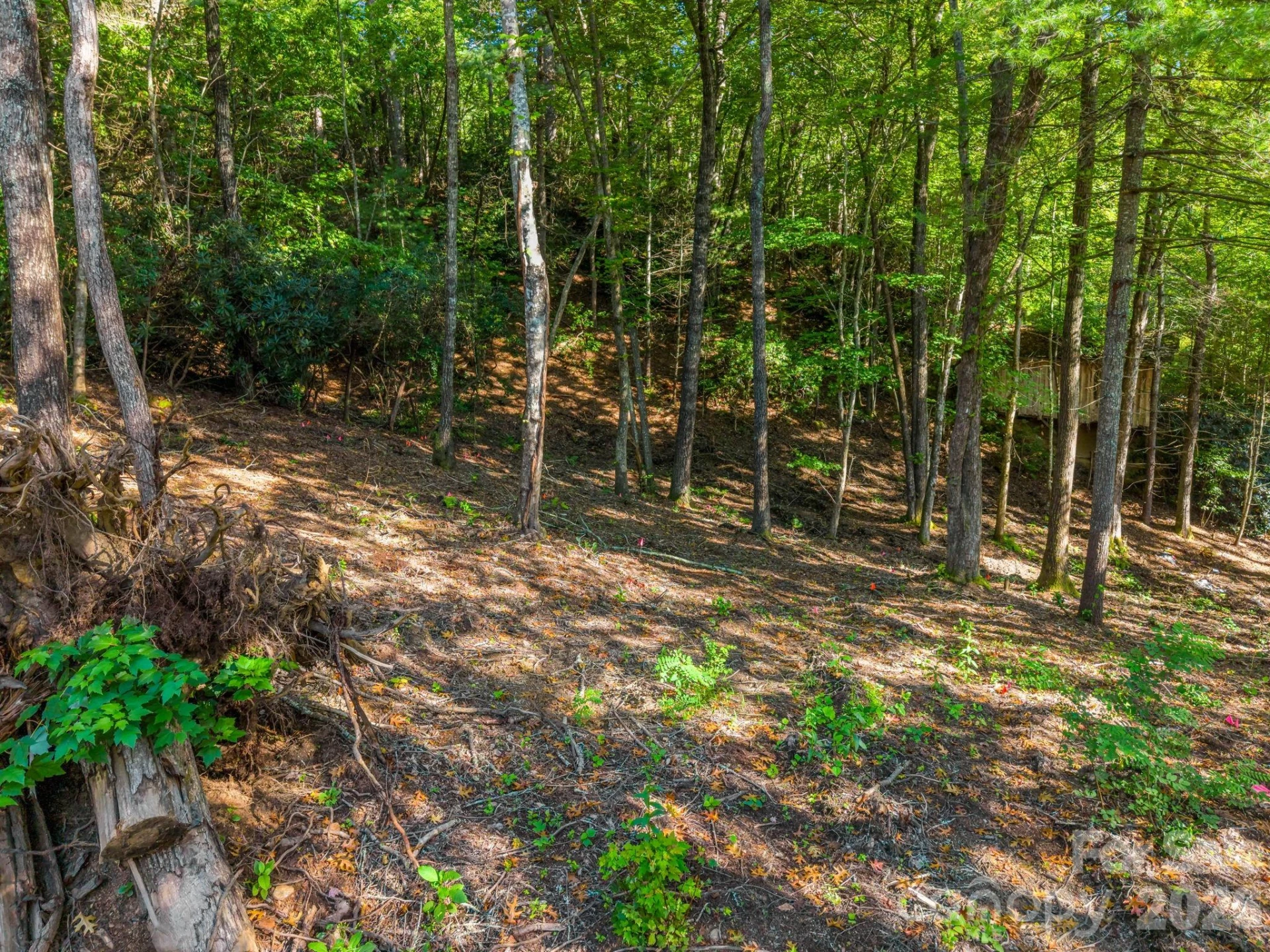 130 Summit Rise Road - Photo 8