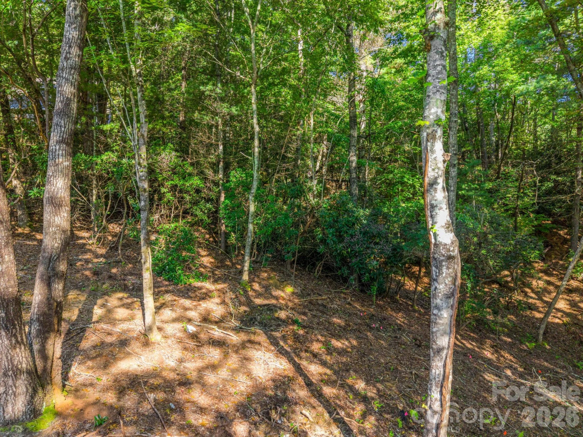 130 Summit Rise Road - Photo 9