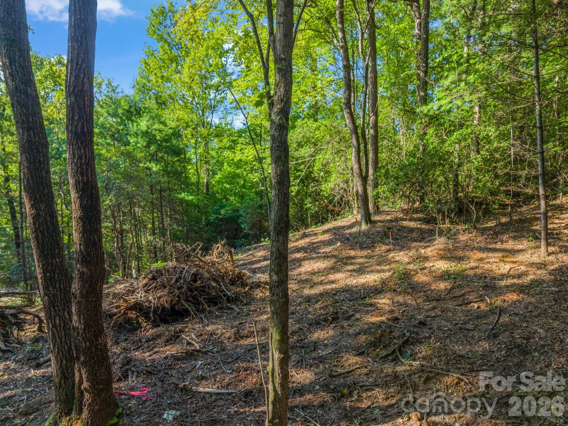 130 Summit Rise Road - Photo 10