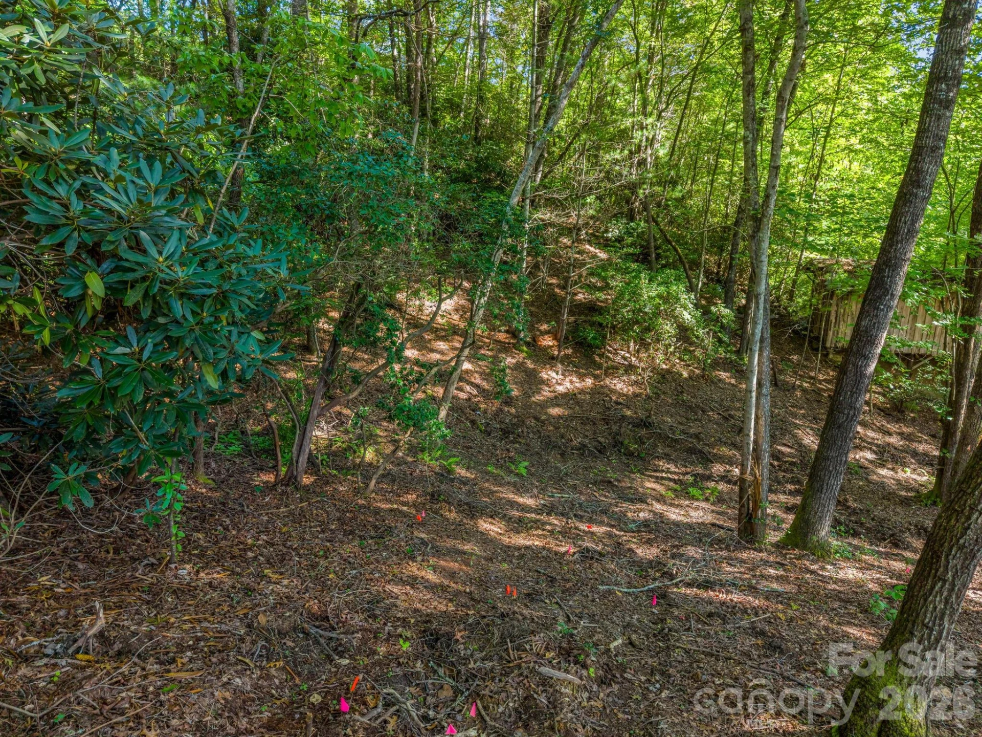 130 Summit Rise Road - Photo 11