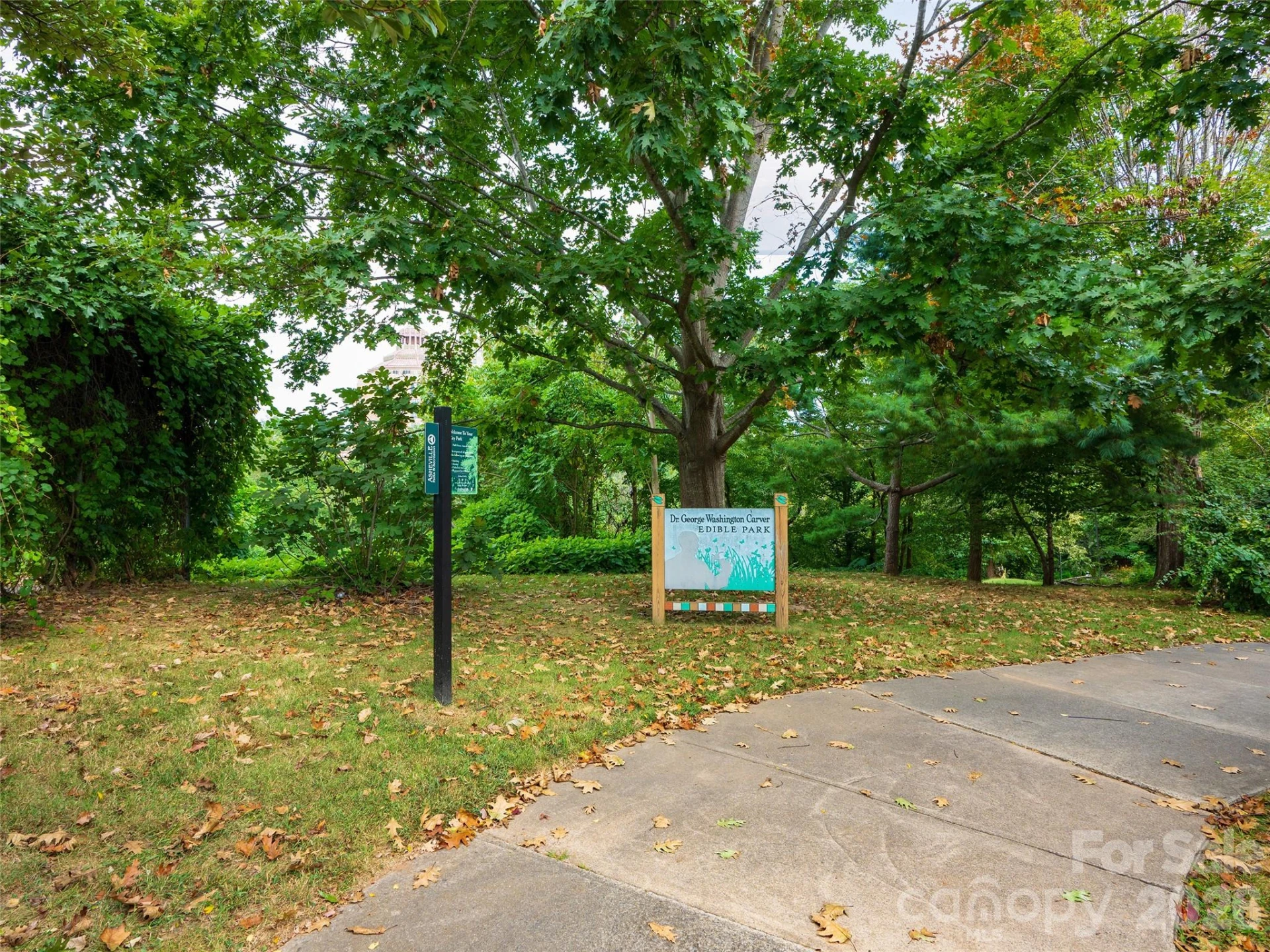 10 Birdhouse Row - Photo 44