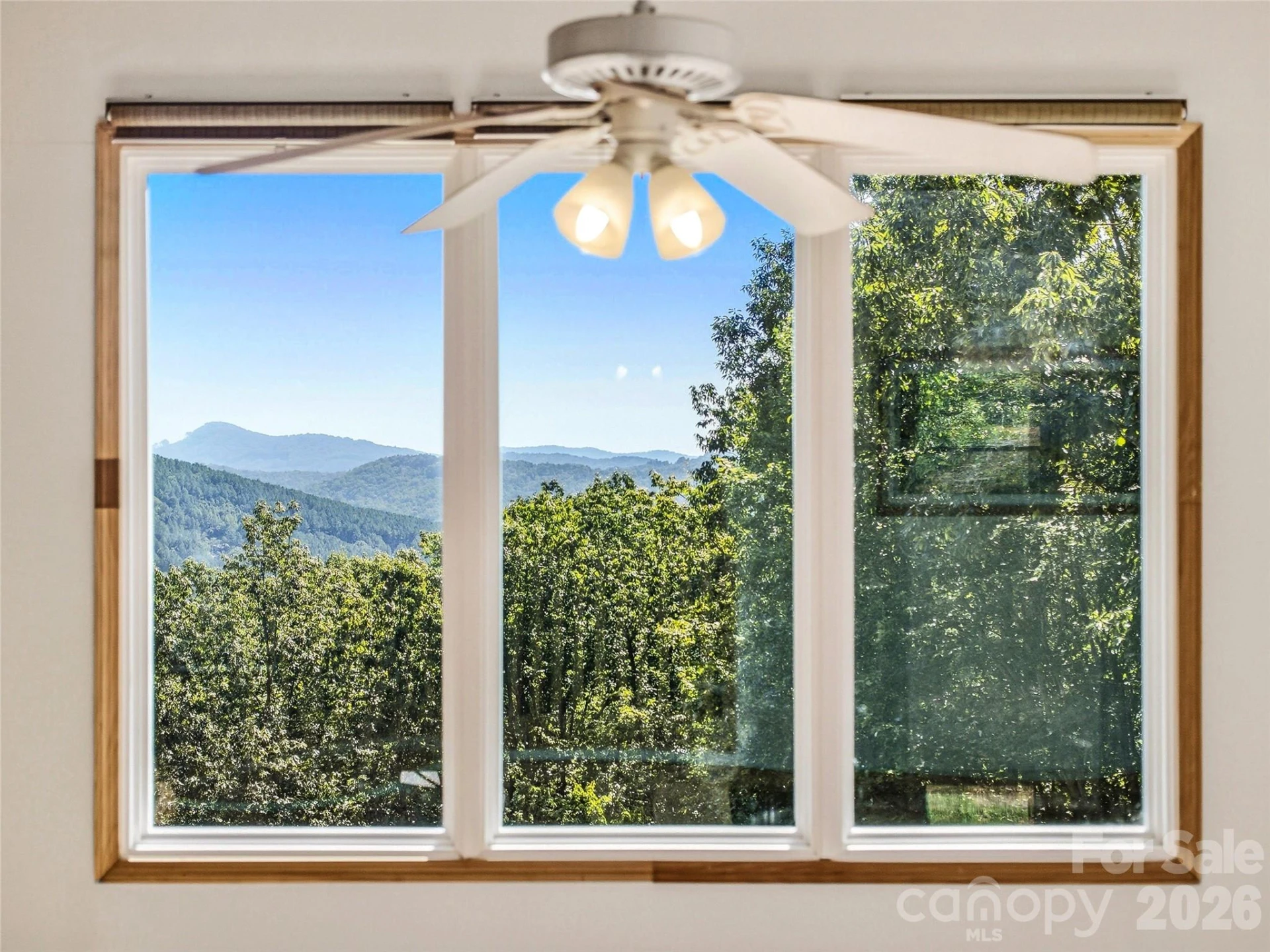 265 Idlewild Drive - Photo 27