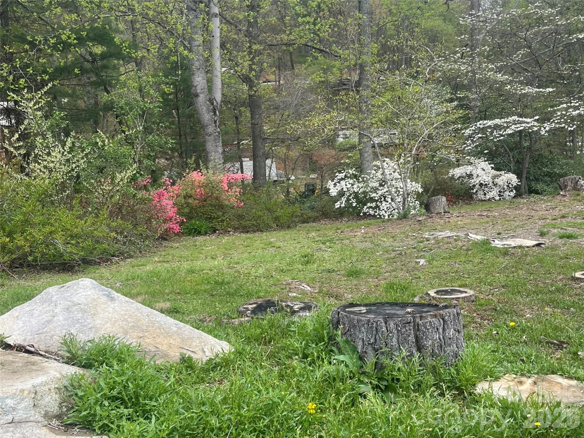 48 Mckinnish Cove Drive - Photo 3