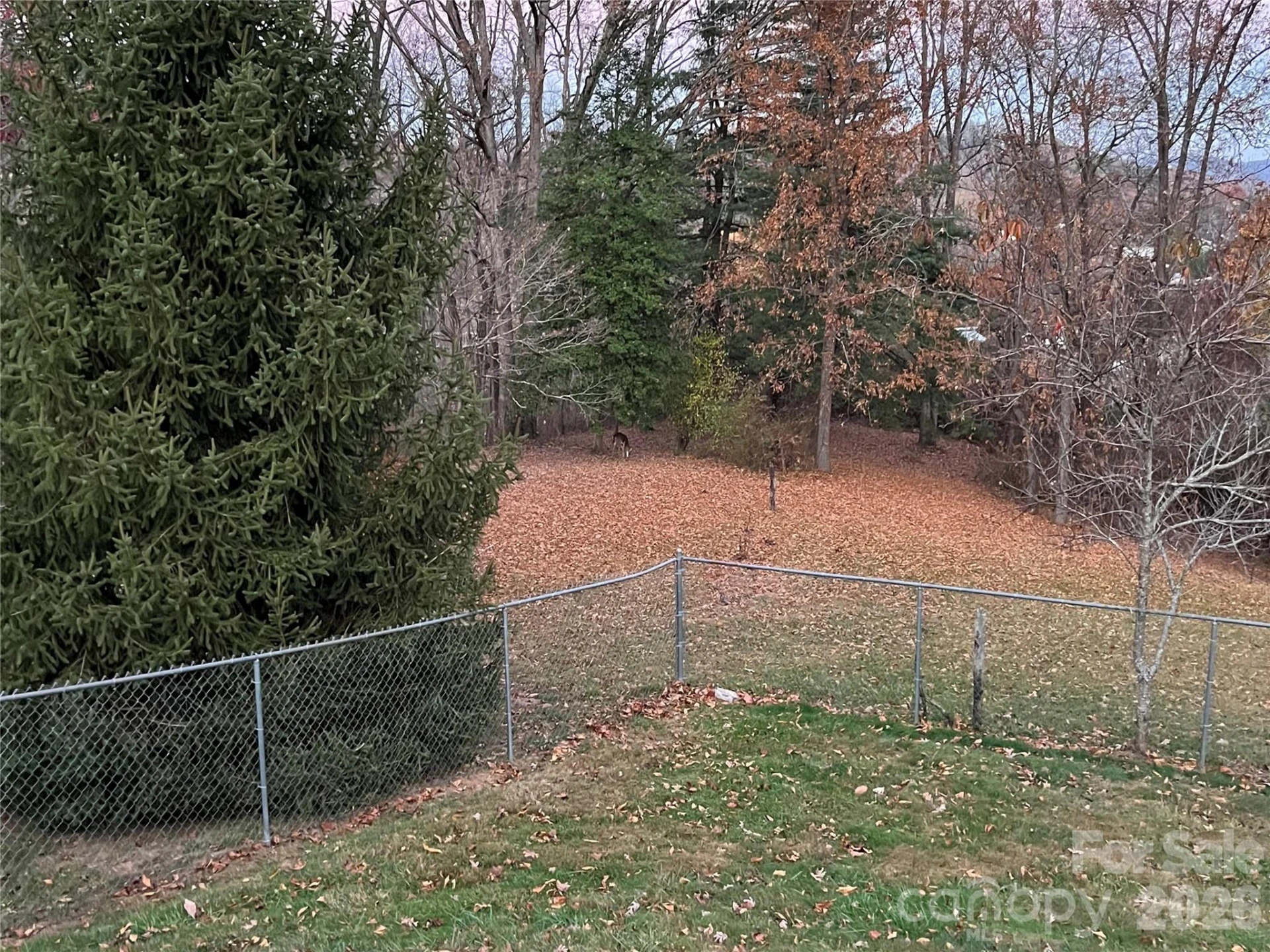 48 Mckinnish Cove Drive - Photo 8