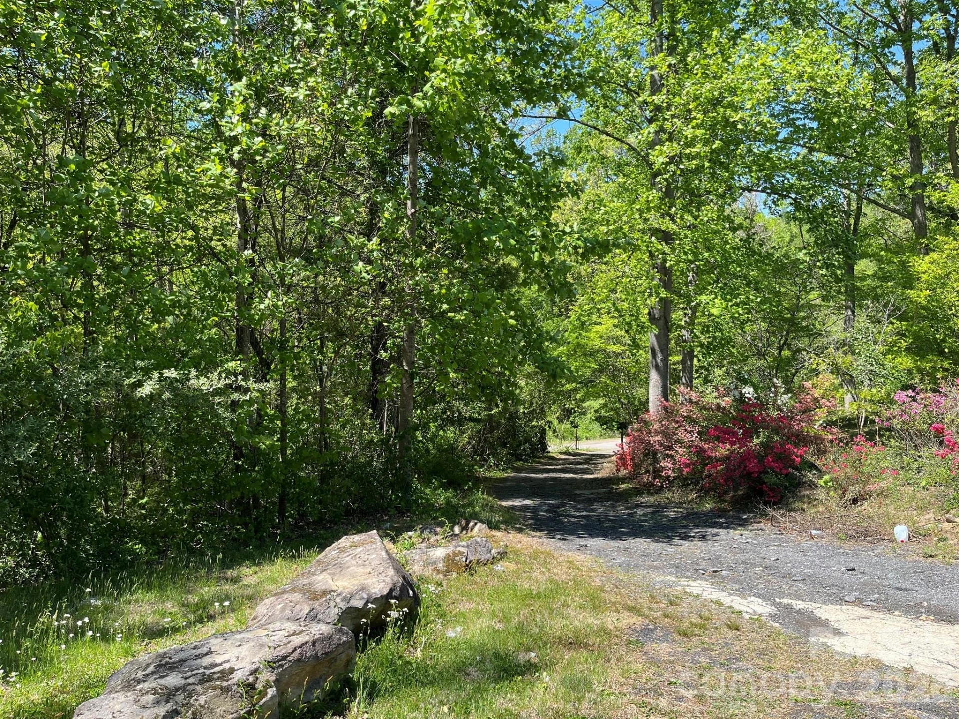 48 Mckinnish Cove Drive - Photo 14