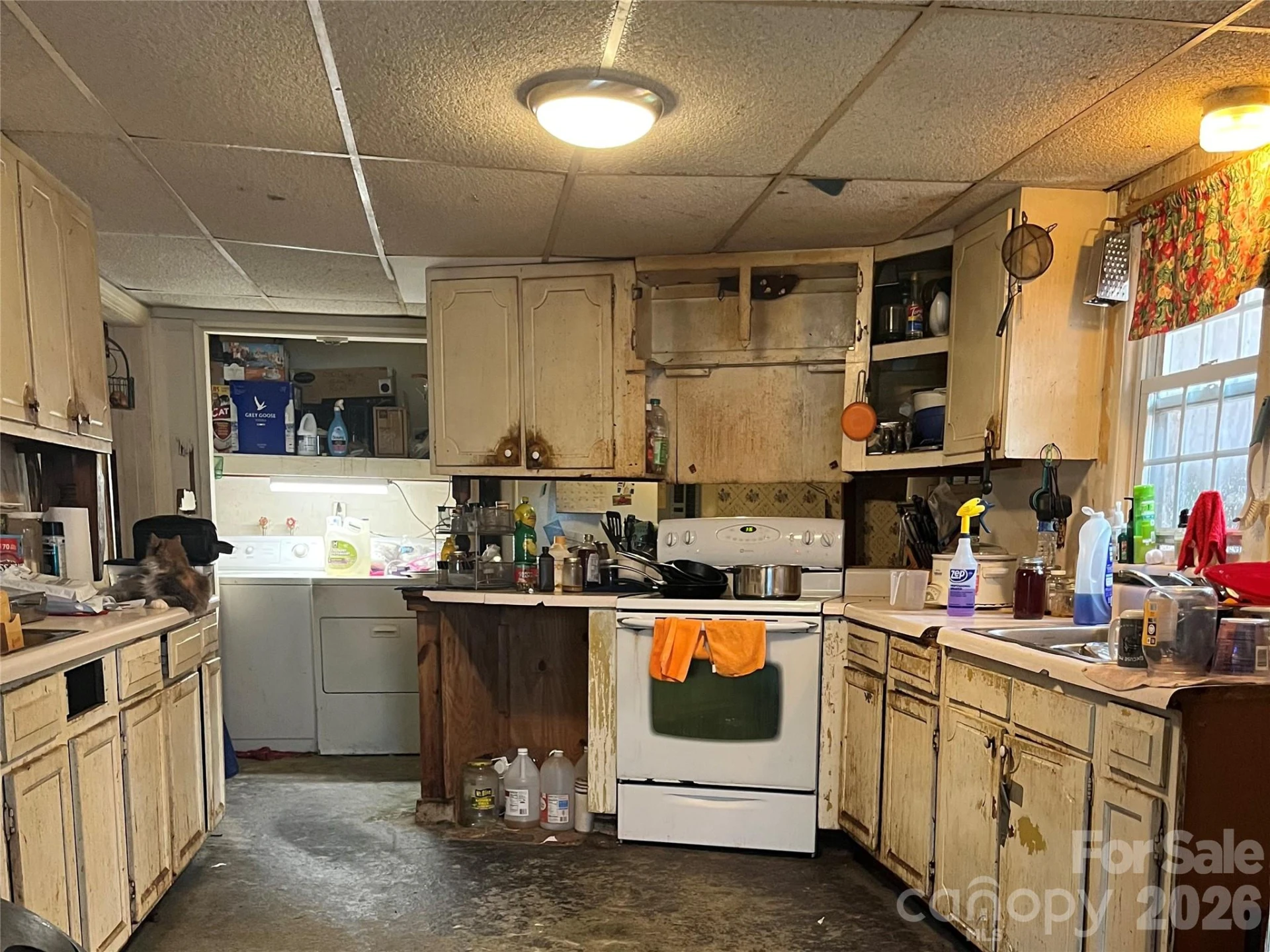 48 Mckinnish Cove Drive - Photo 20