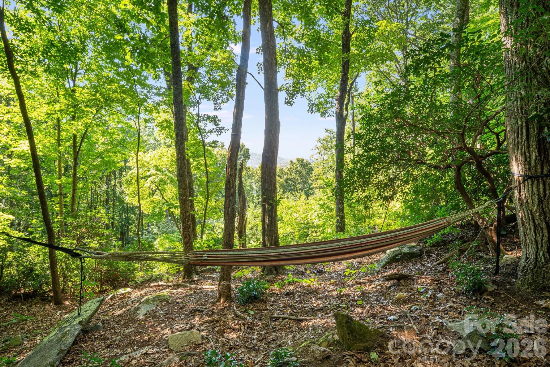 107 Copperhead Cove - Photo 3