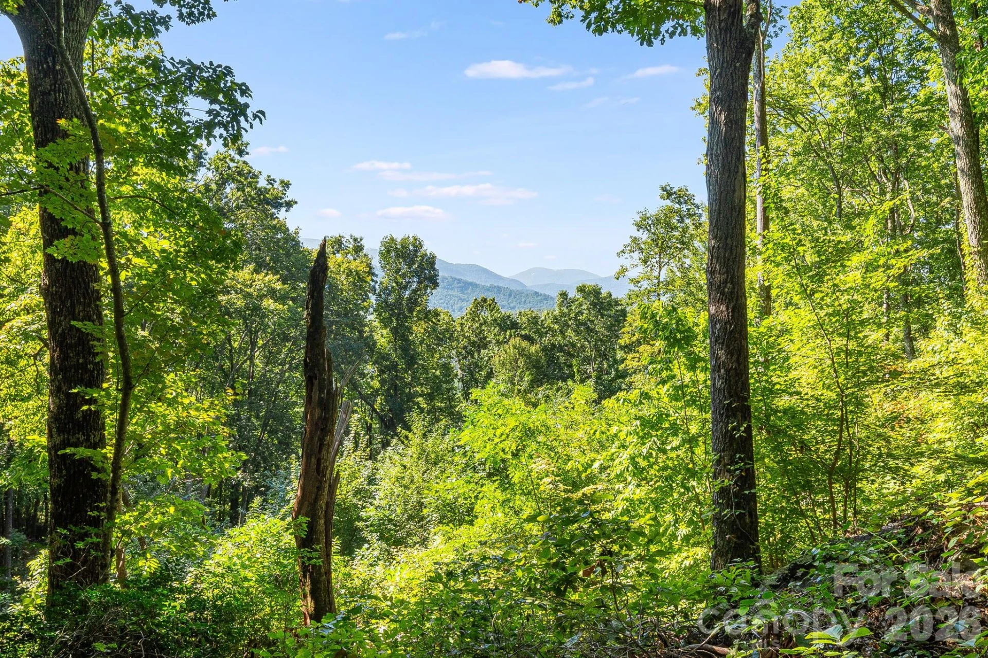 107 Copperhead Cove - Photo 6