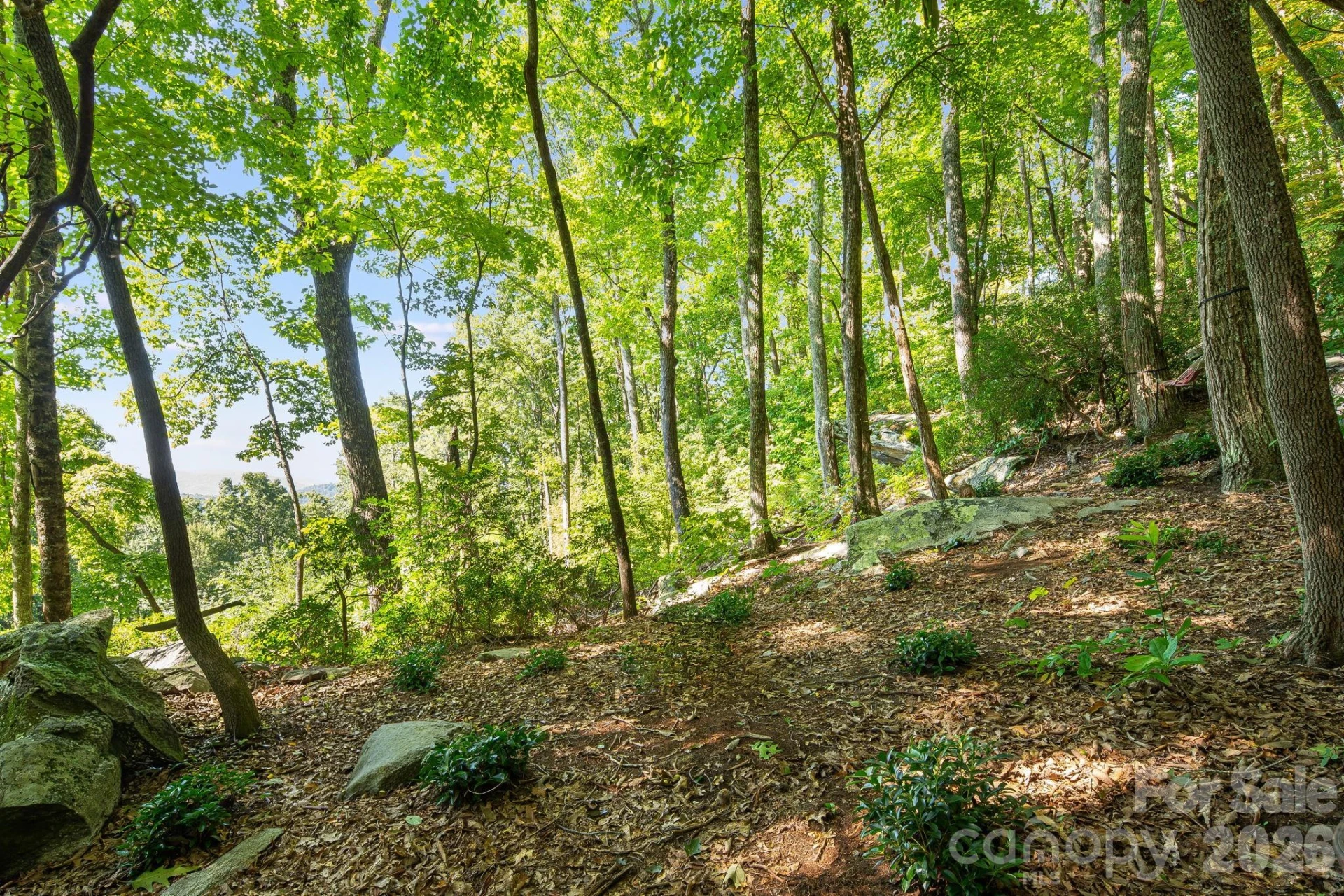107 Copperhead Cove - Photo 8