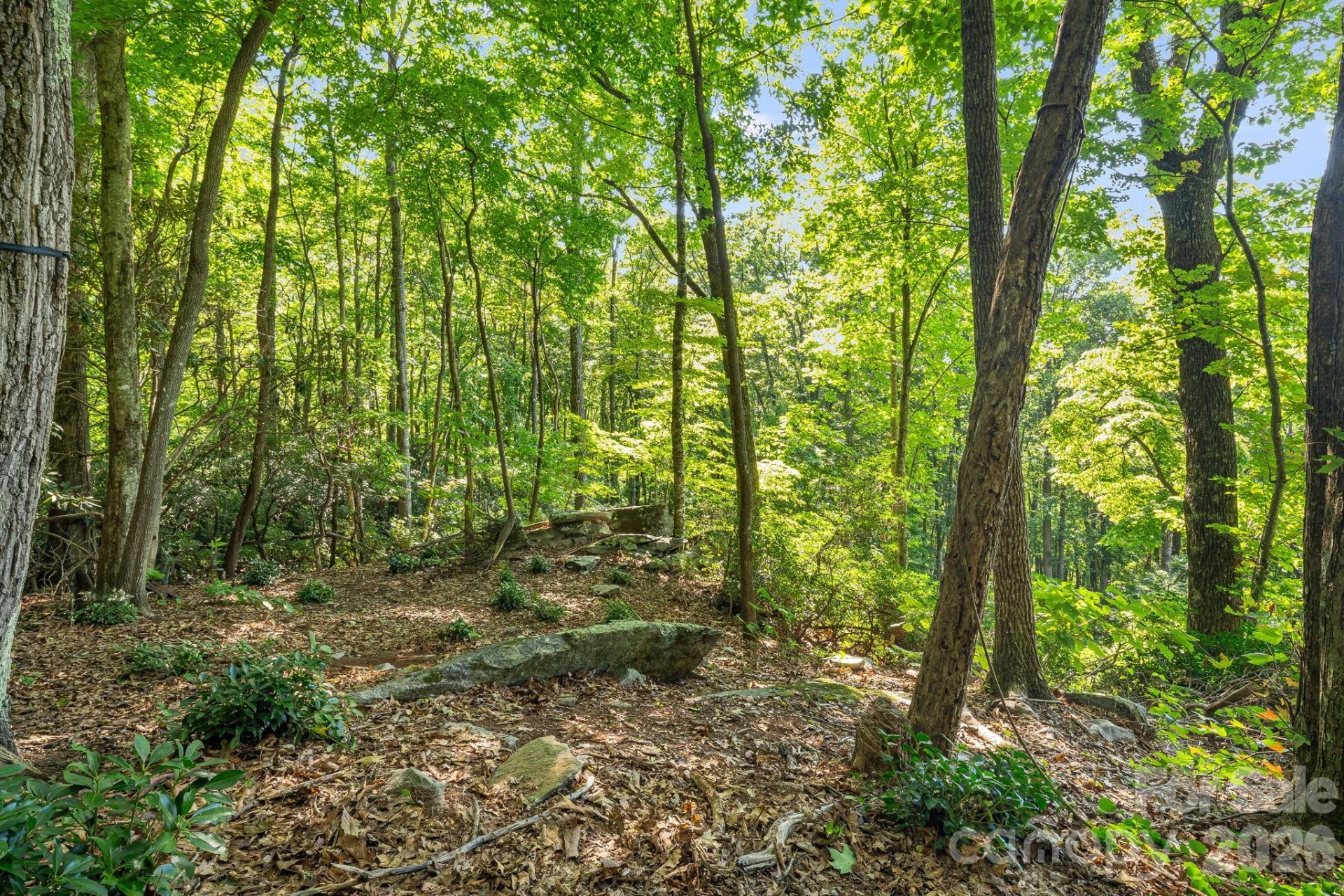 107 Copperhead Cove - Photo 9