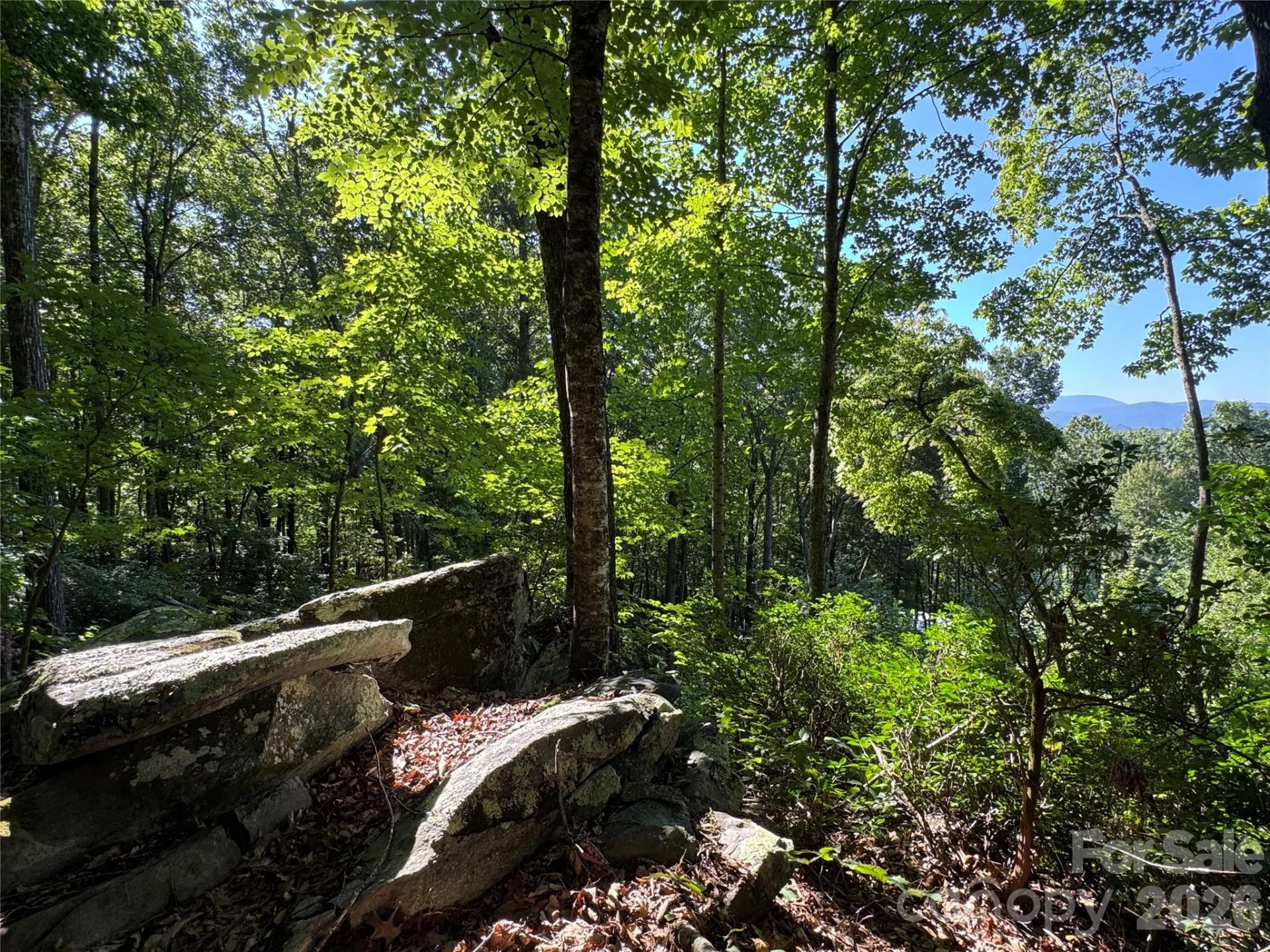 107 Copperhead Cove - Photo 10