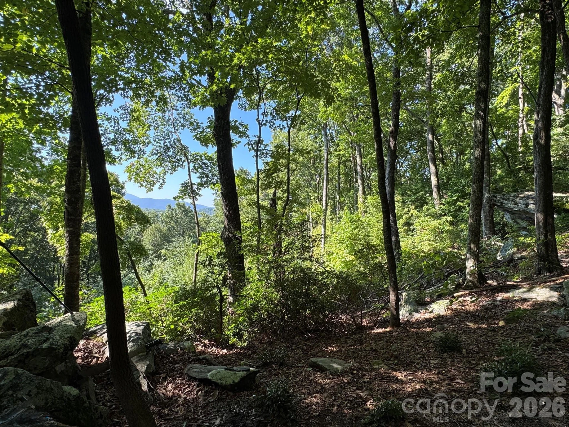 107 Copperhead Cove - Photo 12