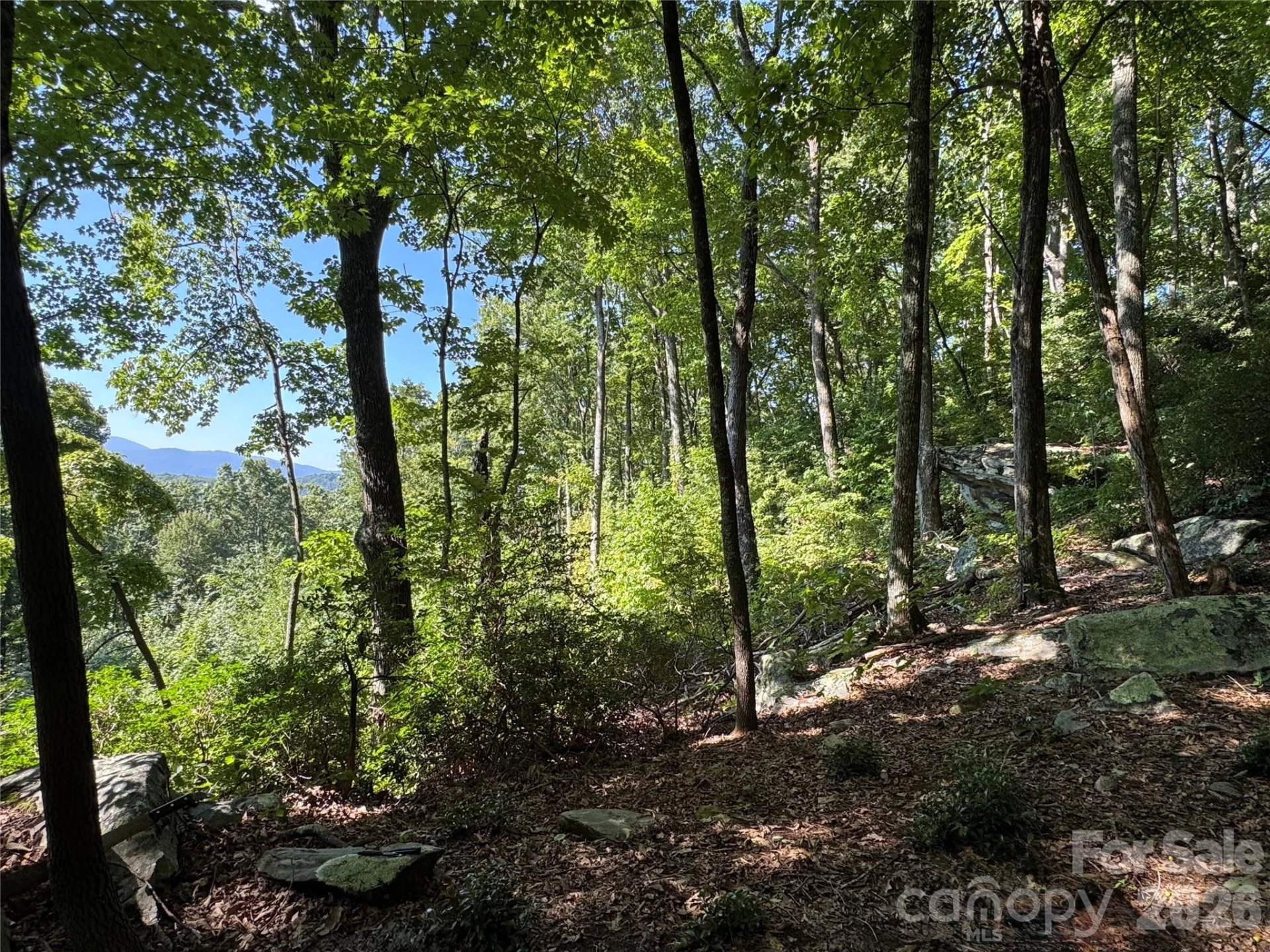 107 Copperhead Cove - Photo 13