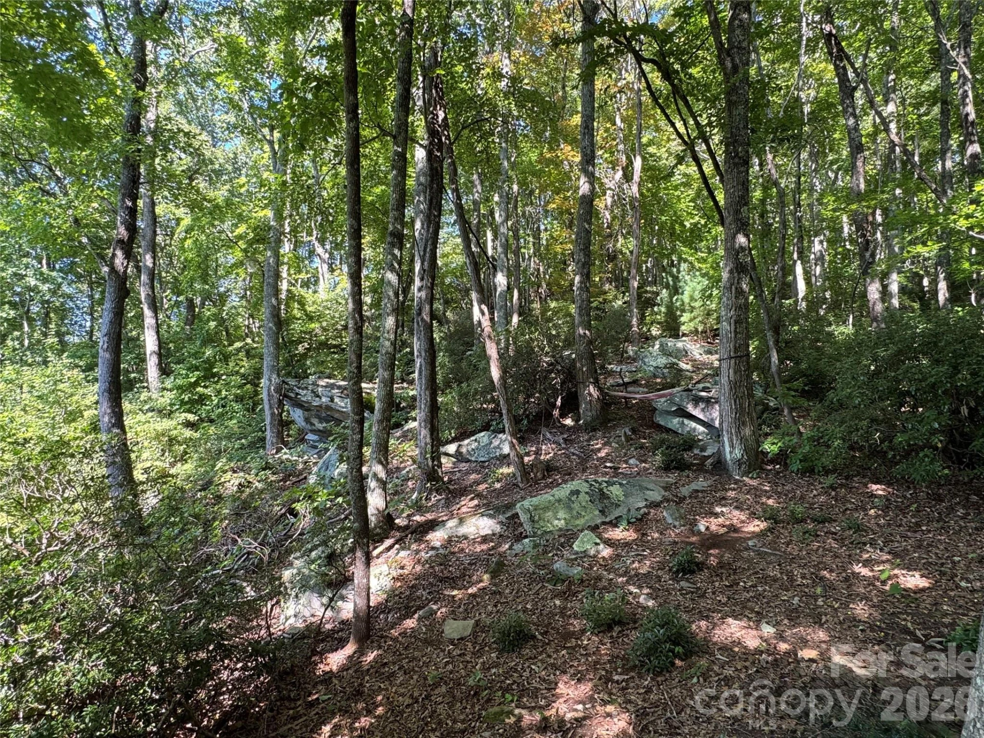 107 Copperhead Cove - Photo 15