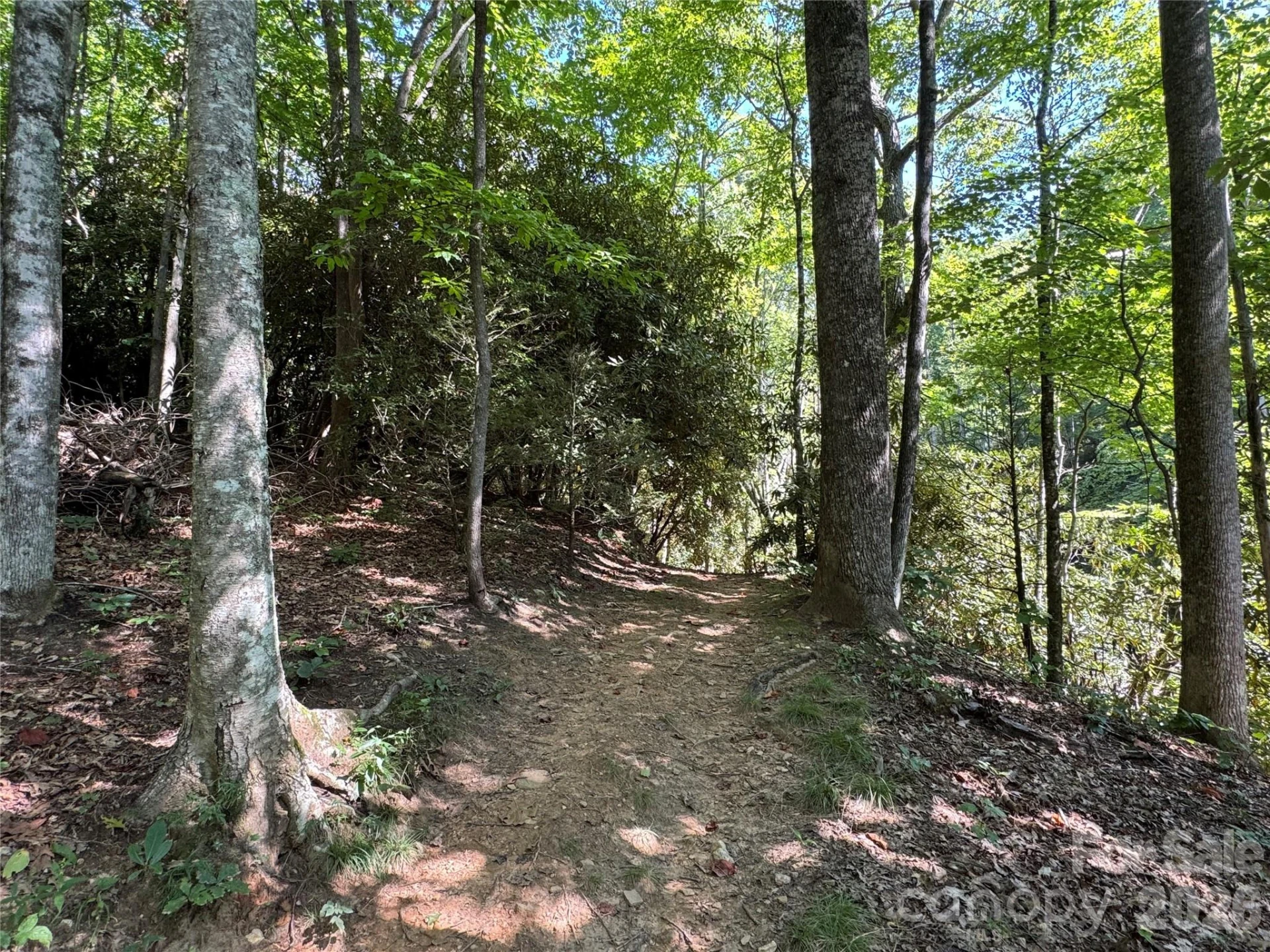 107 Copperhead Cove - Photo 17