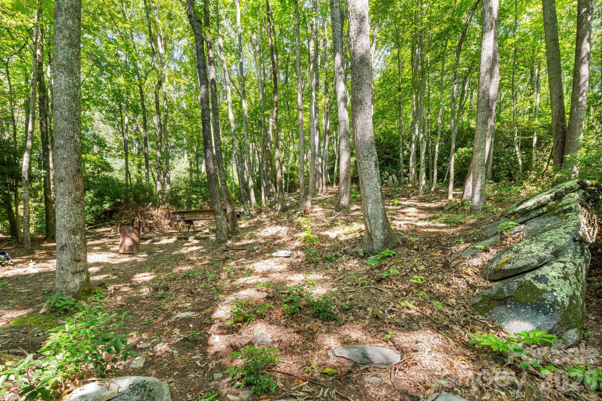 107 Copperhead Cove - Photo 21