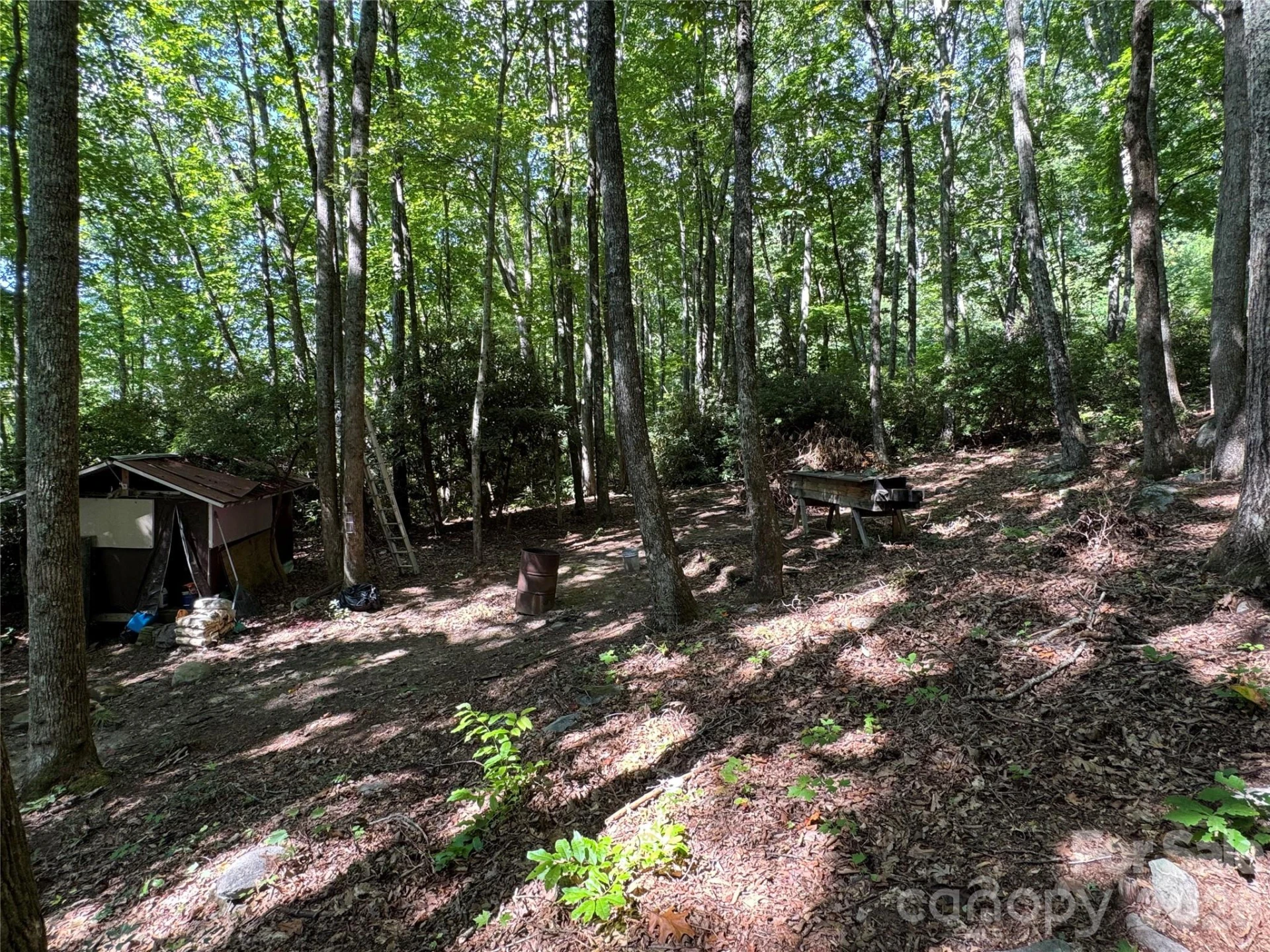 107 Copperhead Cove - Photo 24