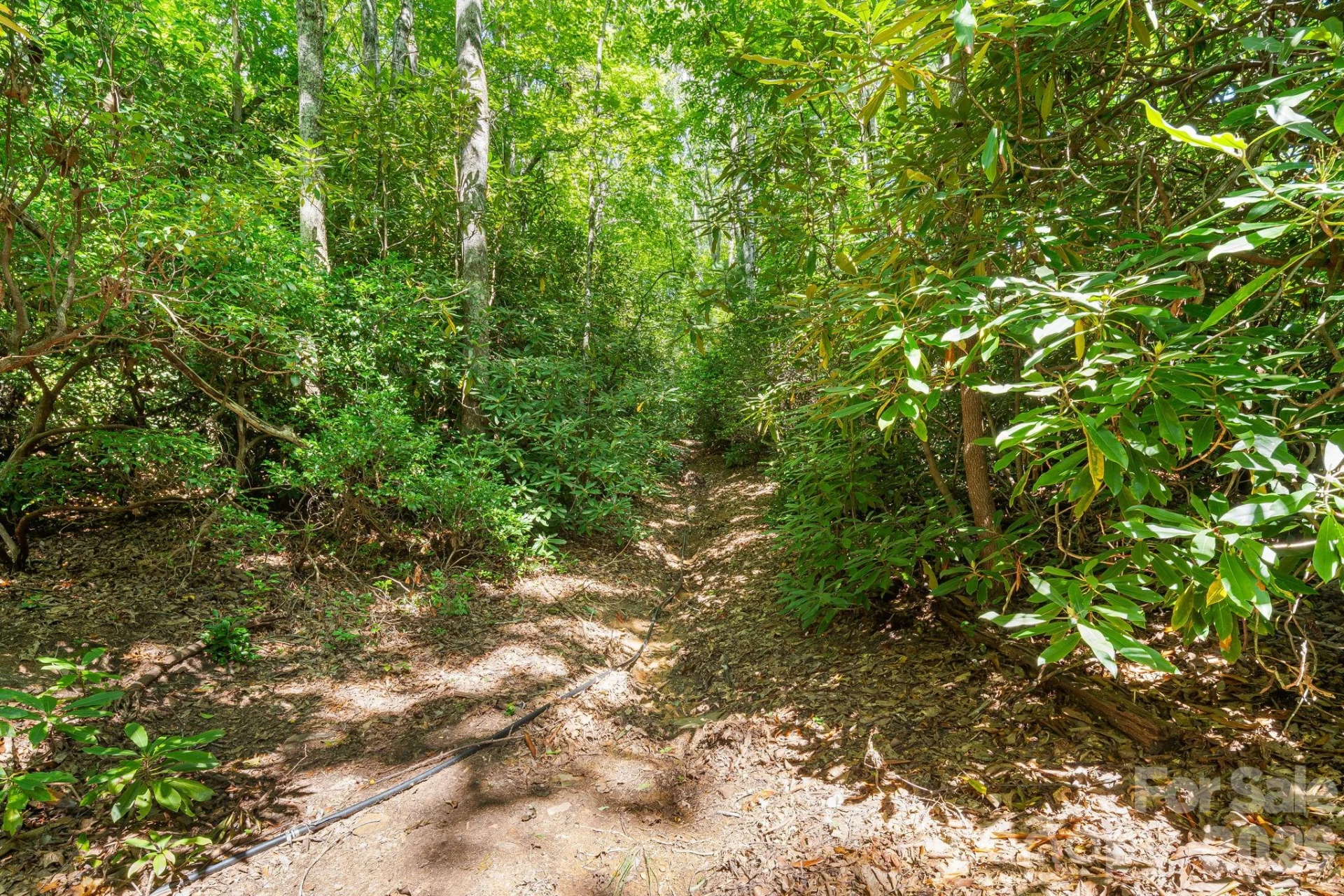 107 Copperhead Cove - Photo 26