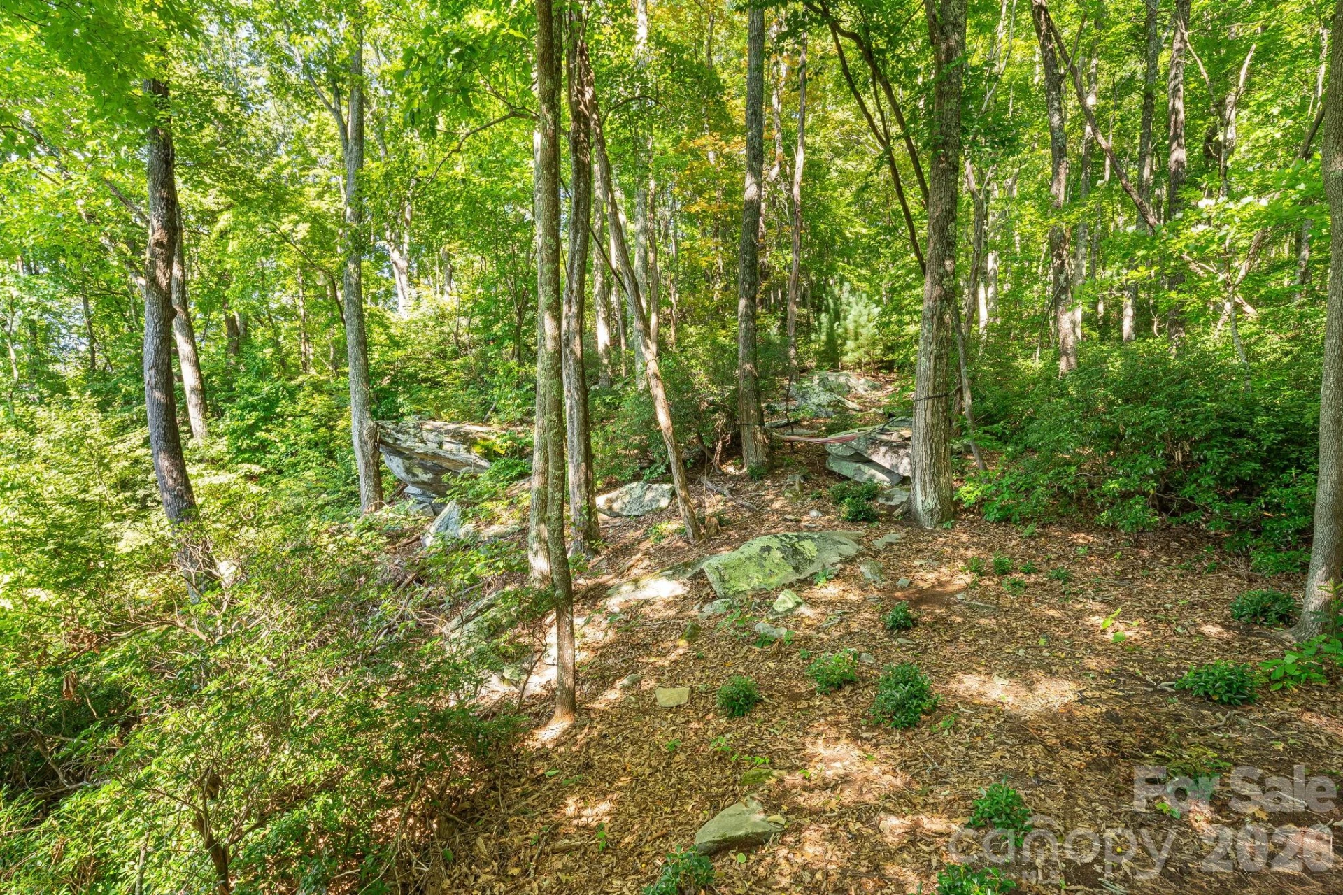 107 Copperhead Cove - Photo 27