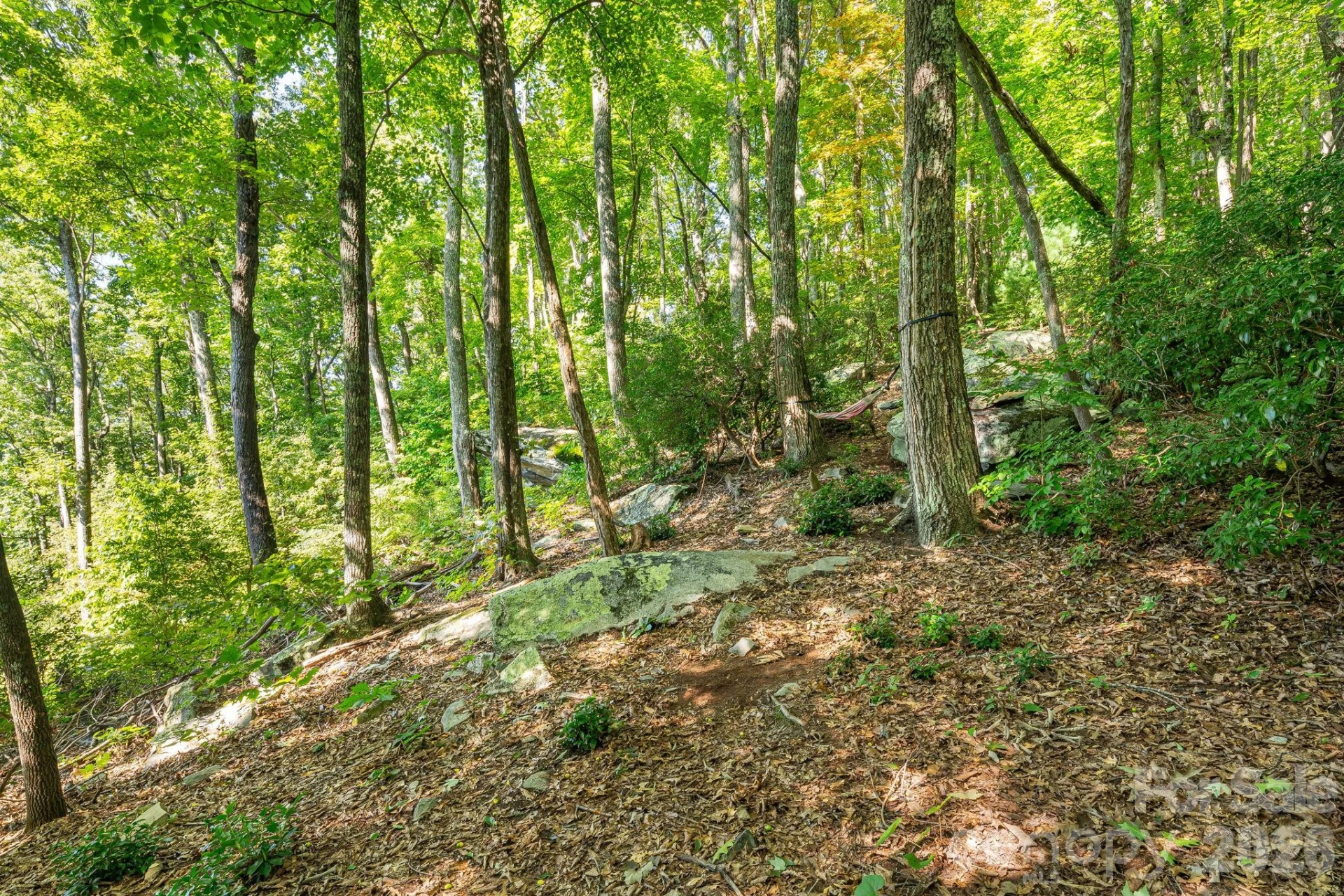 107 Copperhead Cove - Photo 28