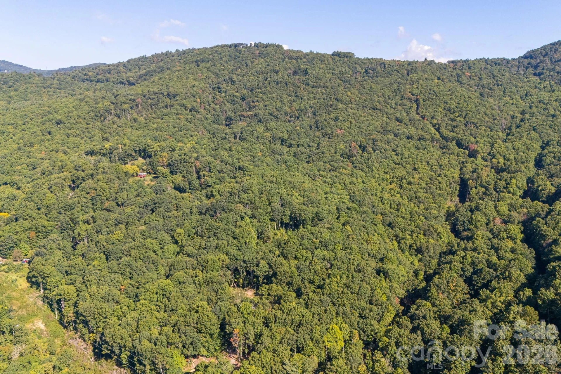 107 Copperhead Cove - Photo 35