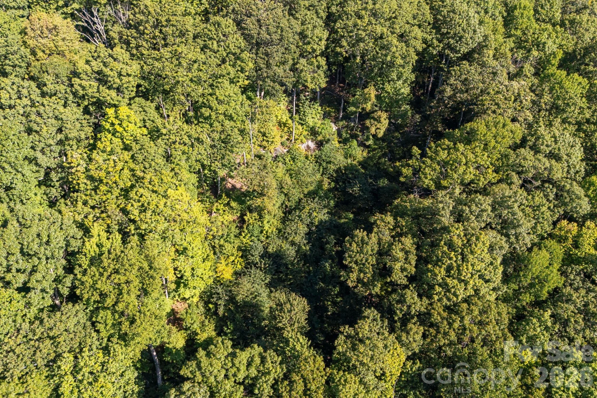 107 Copperhead Cove - Photo 40