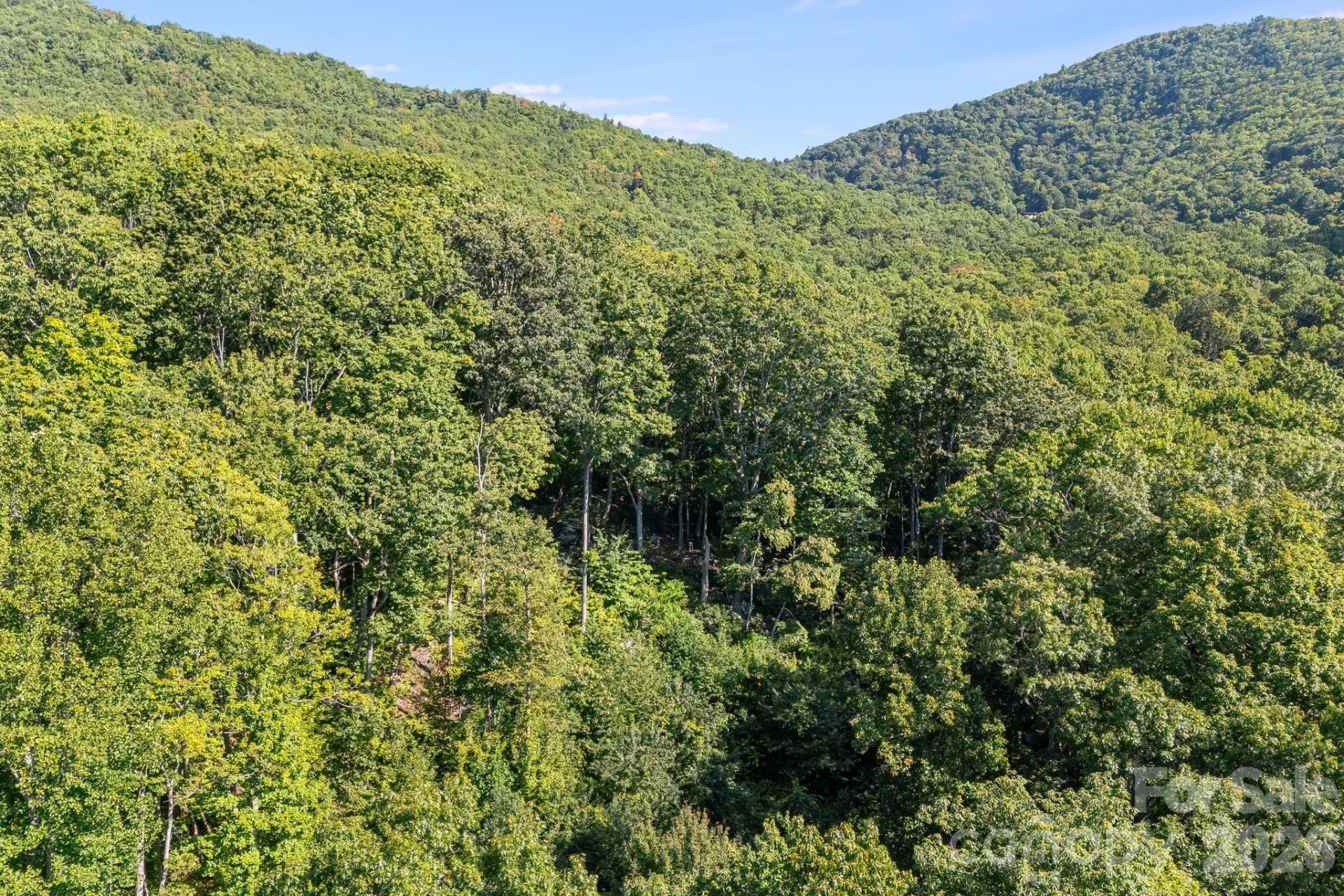 107 Copperhead Cove - Photo 43