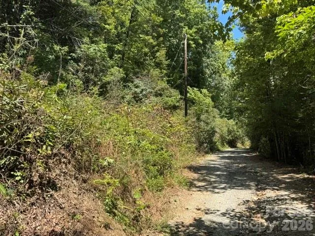 TBD Doris Lisa View Drive, Hendersonville, NC, 28792