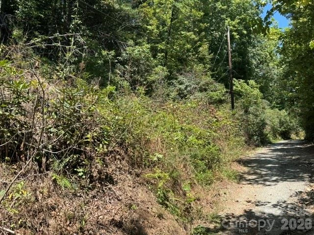 TBD Doris Drive - Photo 2