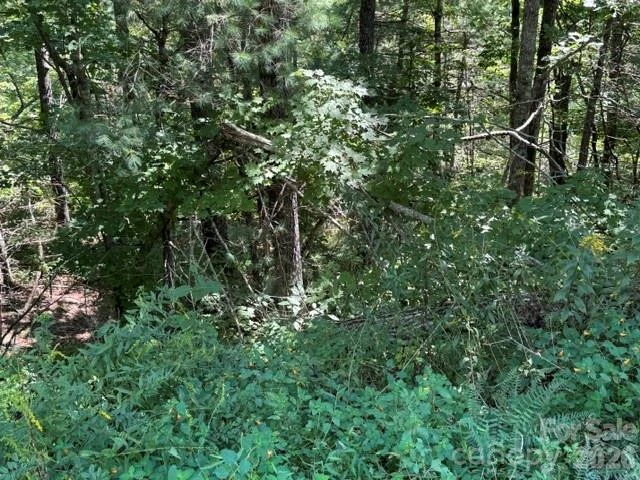 TBD Jarvis Drive - Photo 3
