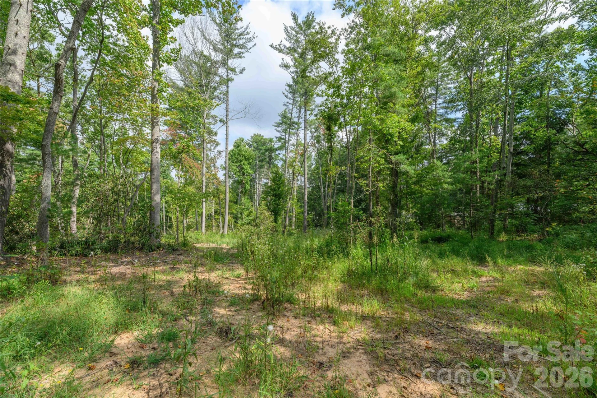 9999 Old Concord Road #2 - Photo 2