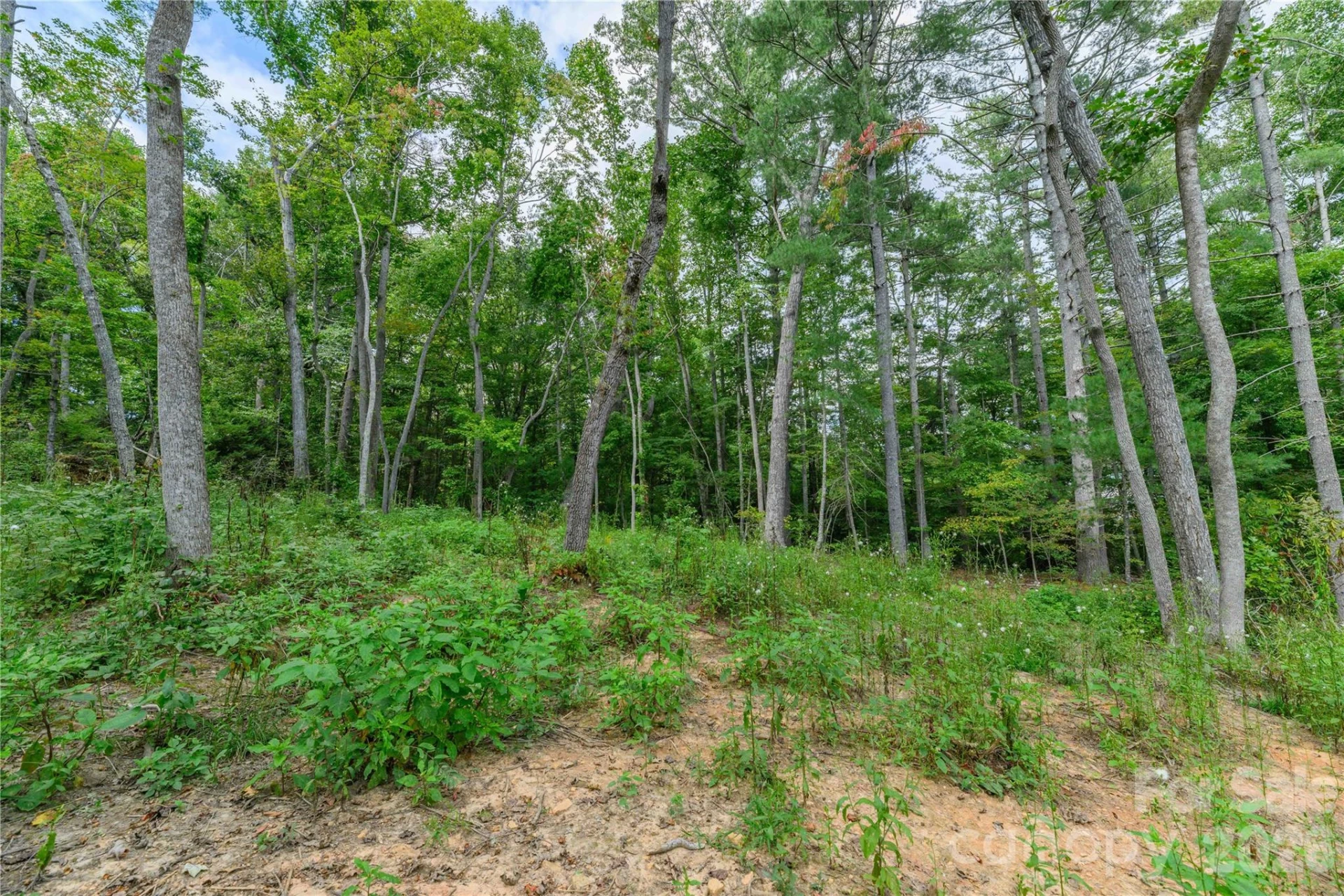 9999 Old Concord Road #2 - Photo 4