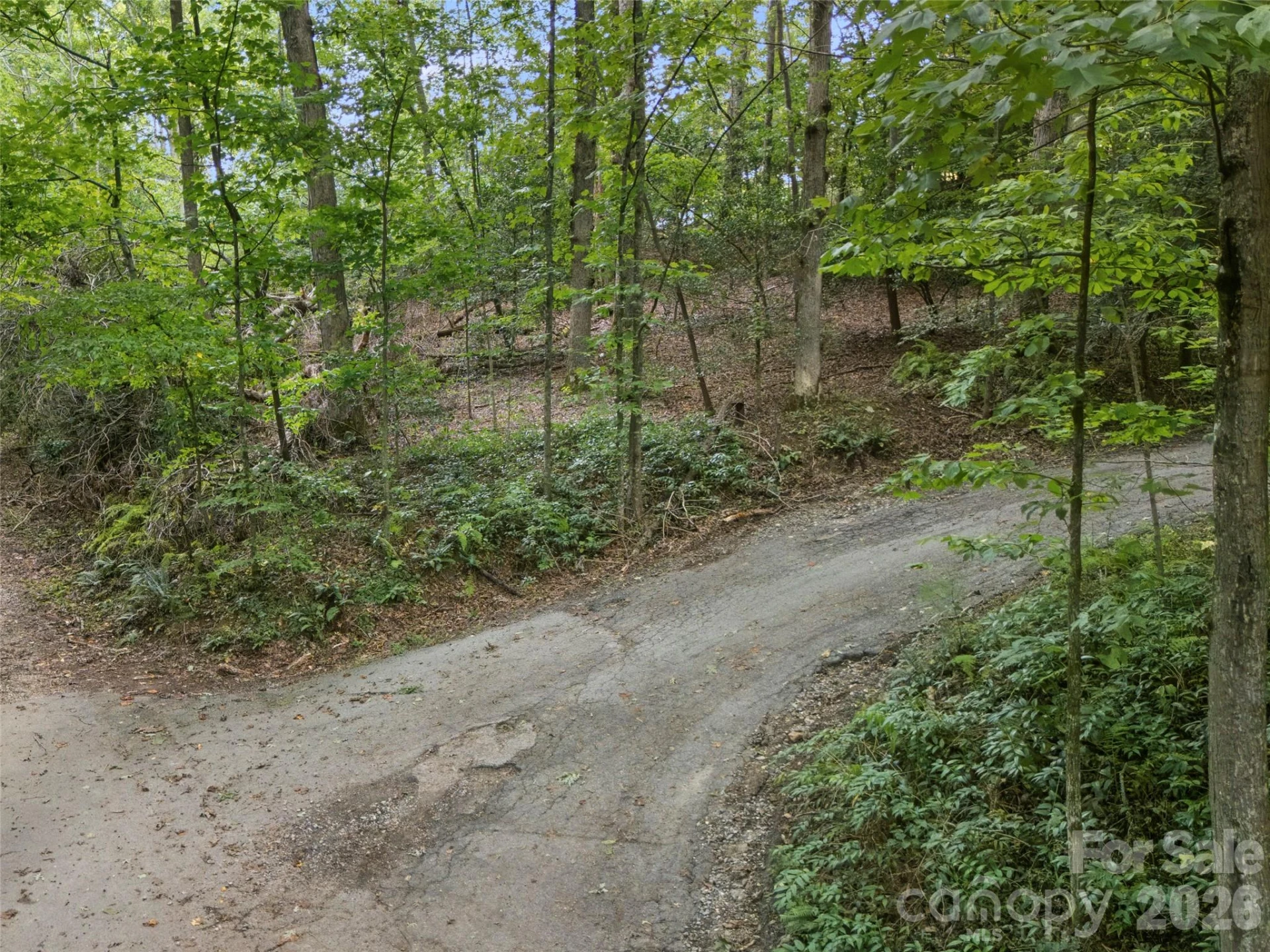 9999 Royal Knoll Drive - Photo 3