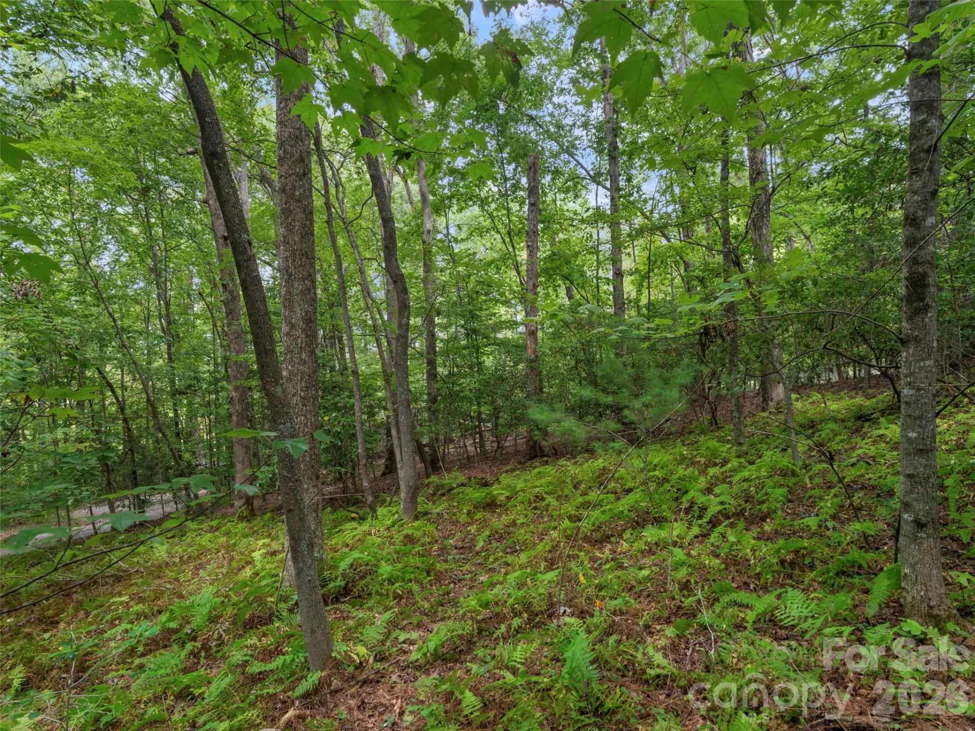 9999 Royal Knoll Drive - Photo 4