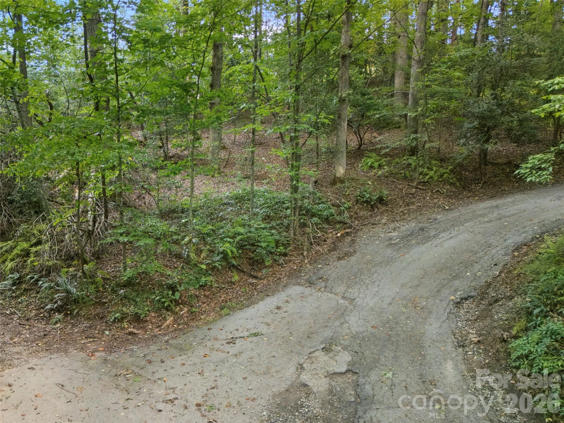 9999 Royal Knoll Drive - Photo 13