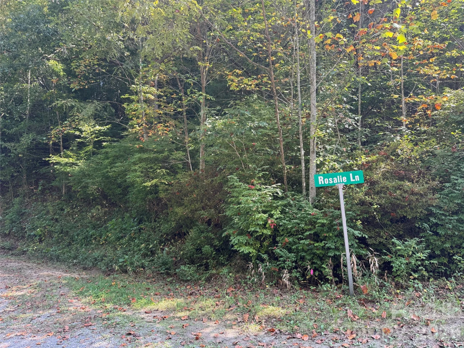 000 Bobcat Road - Photo 3
