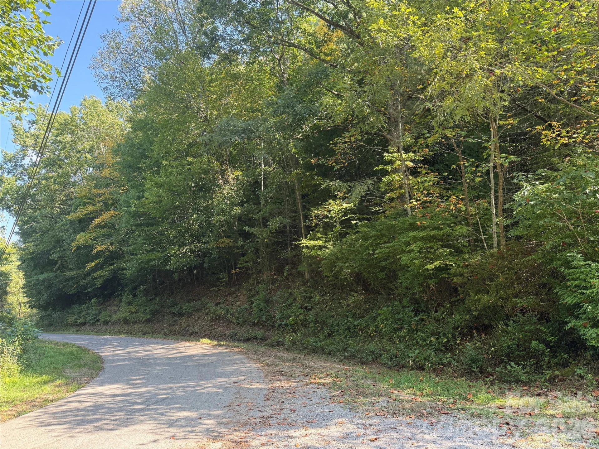 000 Bobcat Road - Photo 4