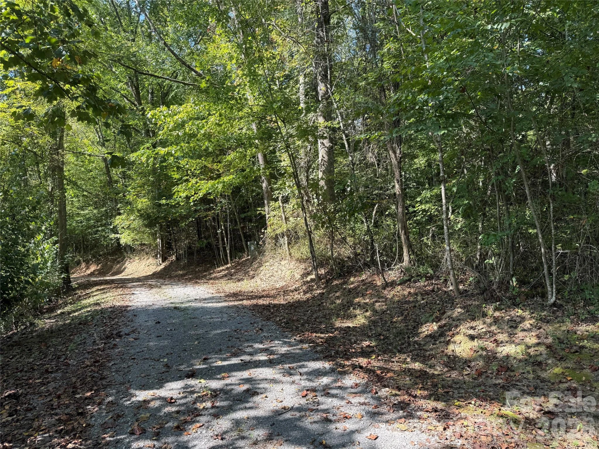 000 Bobcat Road - Photo 5