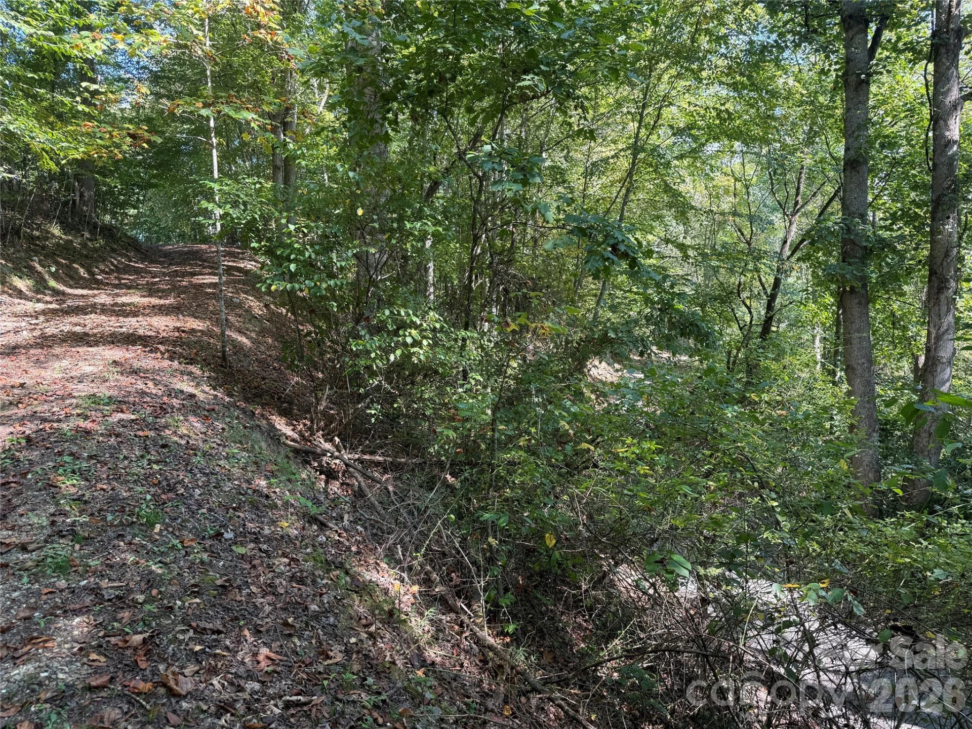 000 Bobcat Road - Photo 7